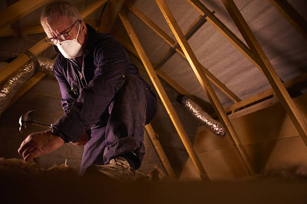 Best Specialty Insulation in Naranja, FL